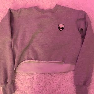 rare brandy cropped hoodie
